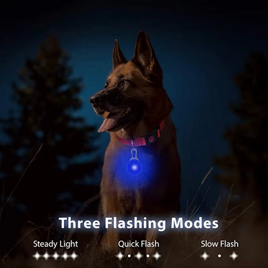 LED Dog Collar — Rechargeable Night Safety Light