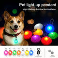 LED Dog Collar — Rechargeable Night Safety Light
