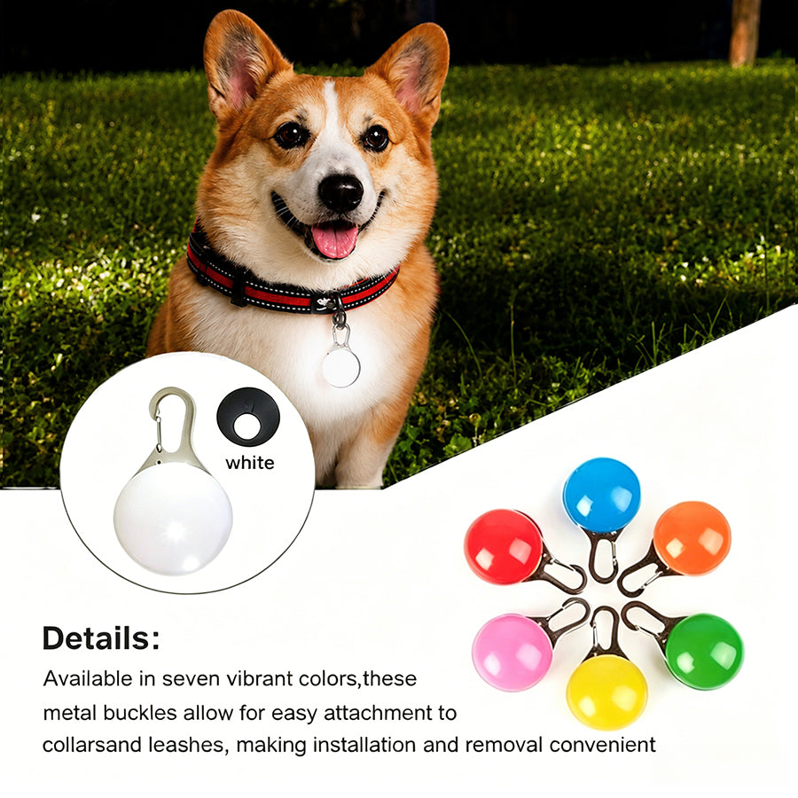 LED Dog Collar — Rechargeable Night Safety Light
